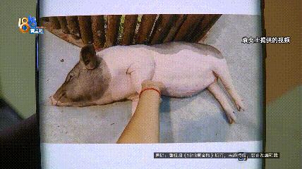 DƬ